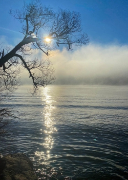 an der Donau in Vilshofen