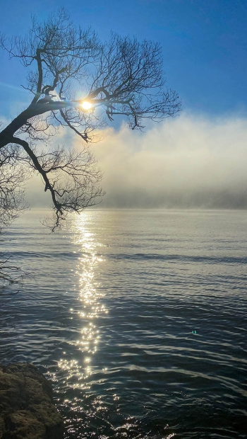 an der Donau in Vilshofen