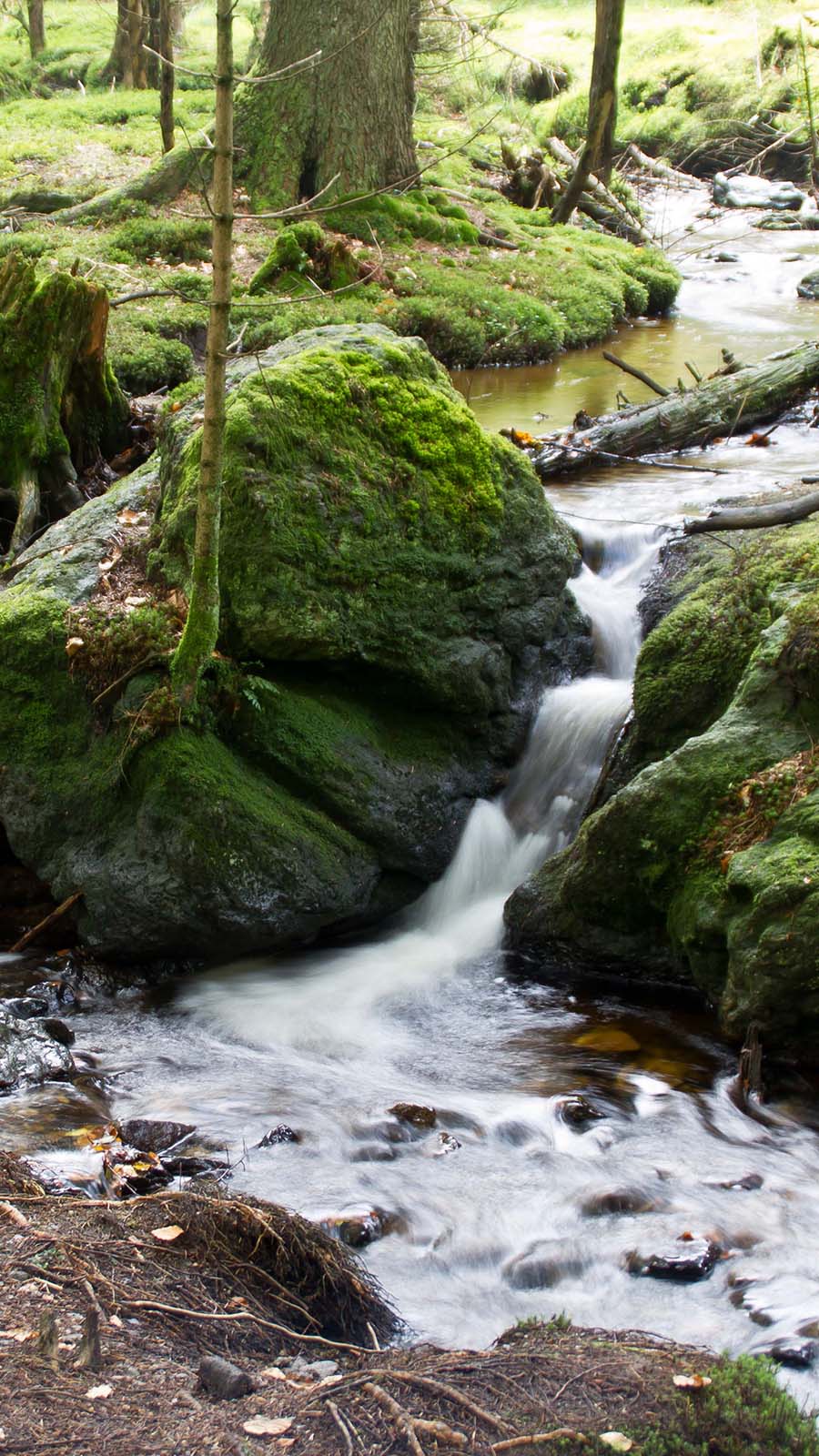 Quellbach